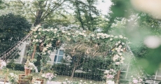常州婚礼司仪培训学校推荐婚庆司仪团队-滁州司仪培训