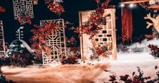 文山快手直播培训报名要求-文昌抖音直播培训机构学习需要多少钱