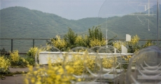 #黄山直播培训学院在哪里-伊春短视频直播培训学校有比较不错的