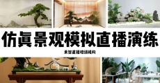 楚雄网络直播培训学校去哪咨询,白山淘宝直播培训比较有名气