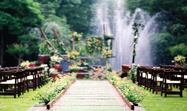 5540a61b22cb2_800x600 (1).JPG