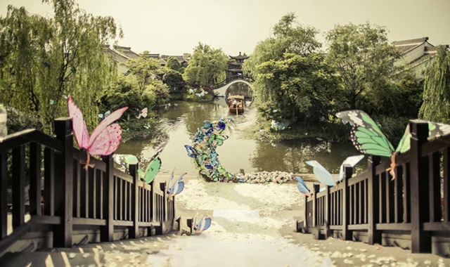 5540a03309fe5_800x600 (1).JPG