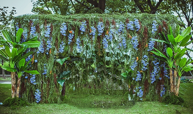 5540a3769d0dc_800x600.JPG