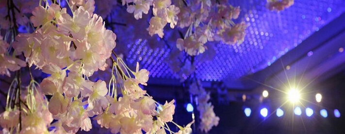 5643ffbf999ef_800x600.jpg