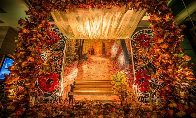 55360ee1139cf_800x600.jpg