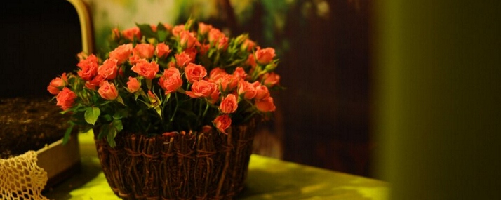 56775ab17c970_800x600.jpg